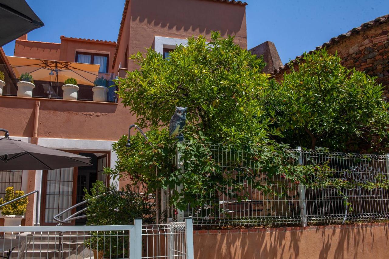 Casa Rural La Pajarona Siruela Dış mekan fotoğraf